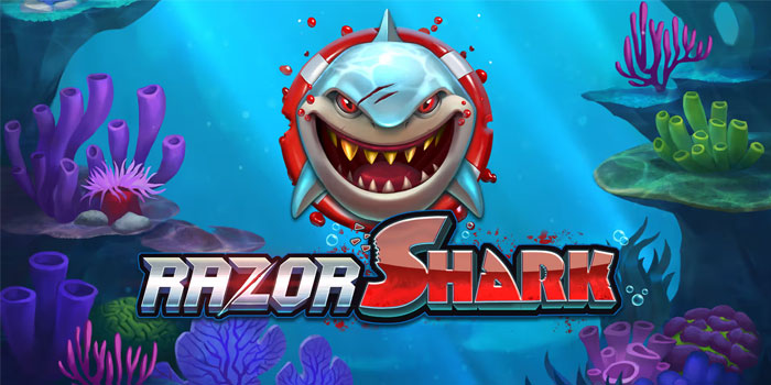 Cara-Terbaik-Menang-Besar-di-Slot-Razor-Shark